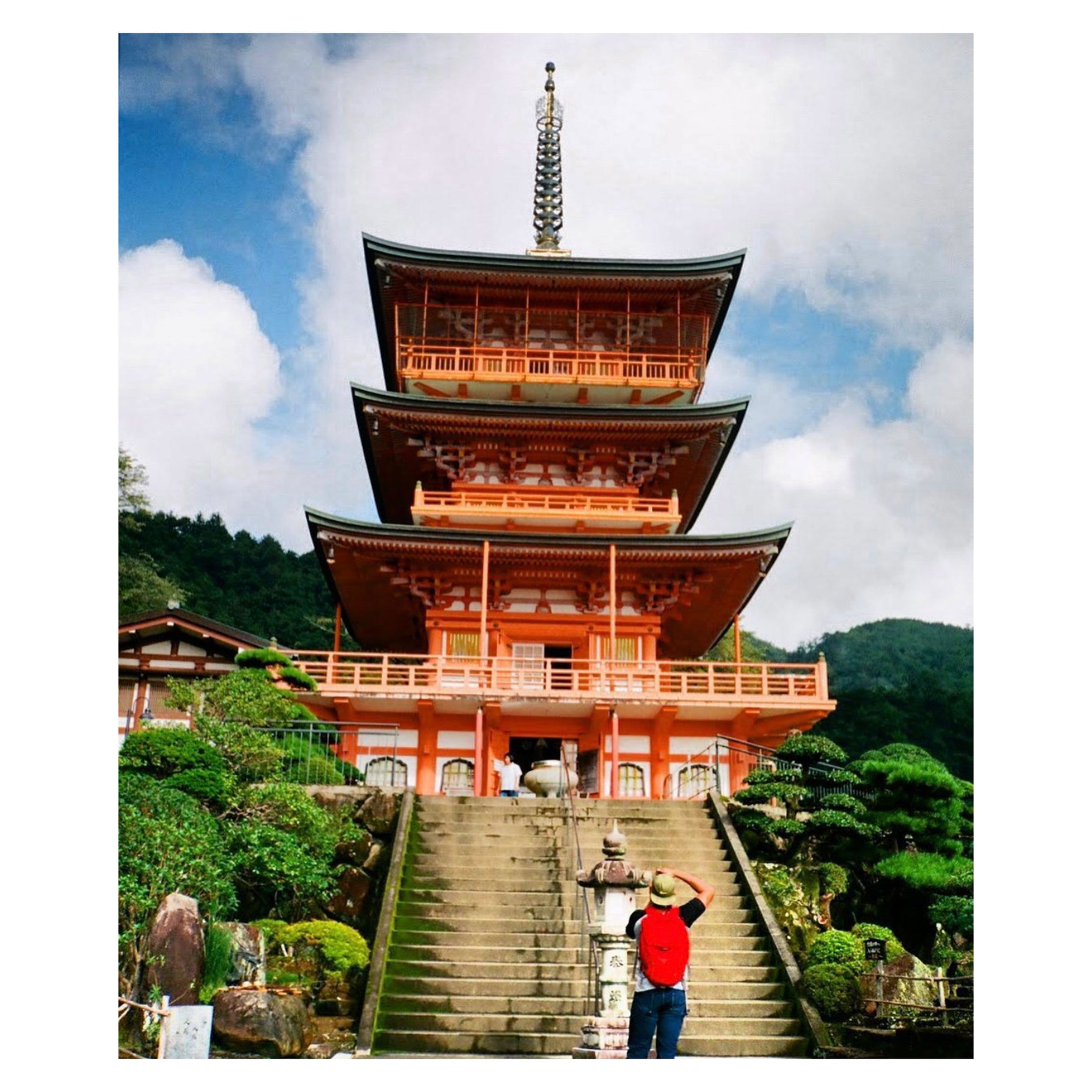 Olympus Trip Panorama – Retro Camera Shop